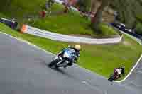 anglesey;brands-hatch;cadwell-park;croft;donington-park;enduro-digital-images;event-digital-images;eventdigitalimages;mallory;no-limits;oulton-park;peter-wileman-photography;racing-digital-images;silverstone;snetterton;trackday-digital-images;trackday-photos;vmcc-banbury-run;welsh-2-day-enduro